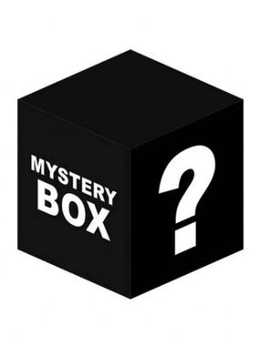 Women’s size M  fall mystery box